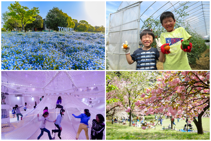 【2026東京再発見】足立区の人気観光スポット10選　春の週末～GWに日帰り！ネモフィラ＆五色桜の名所も