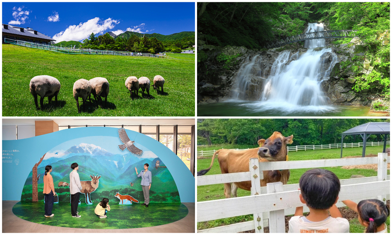 【2026】GWのドライブにも！北杜市の人気＆穴場観光スポット21選　八ヶ岳・清里エリアで日帰り～1泊旅