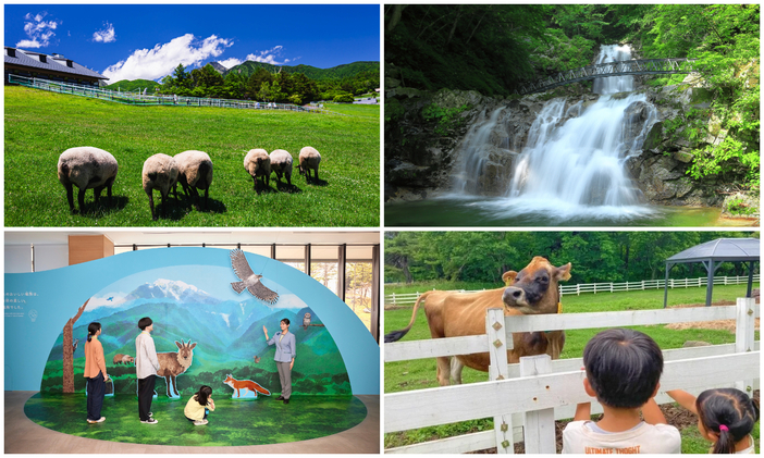 【2026】GWのドライブにも！北杜市の人気＆穴場観光スポット21選　八ヶ岳・清里エリアで日帰り～1泊旅