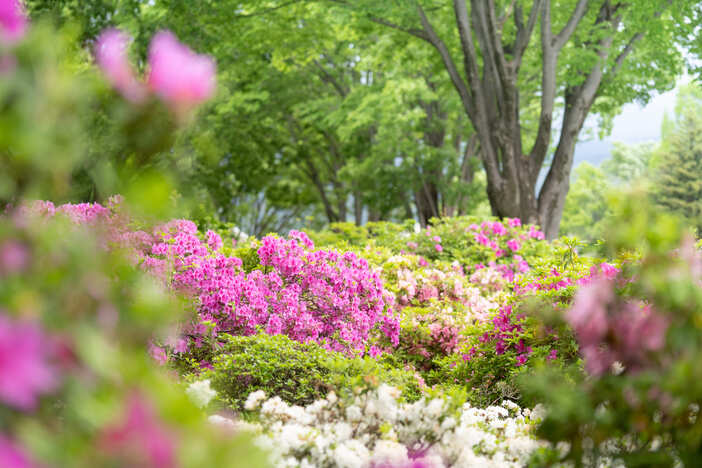 ぐんまフラワーパークプラス ゴールデンウィークイベント