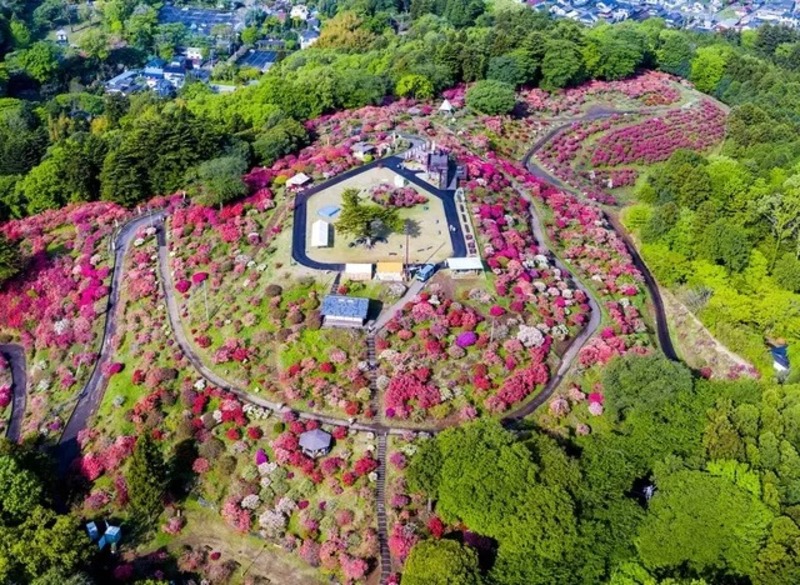 【全国】2026年GWにおすすめ「つつじまつり」18選！　心奪われる絶景＆グルメ・催し・見どころを紹介