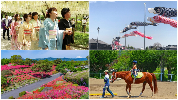 【2026東海】4月29日の「昭和の日」に親子で楽しめるイベント9選　鯉のぼり・藤まつり・予約不要＆無料も
