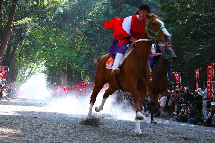 賀茂神社 賀茂祭（足伏走馬）（2026）
