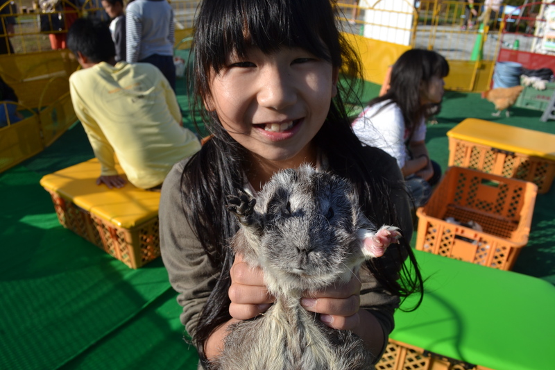 カヌー・ふれあい動物園・芝桜まつりが楽しめる！愛知・豊根村「春の茶臼山高原祭り」2026年開催情報