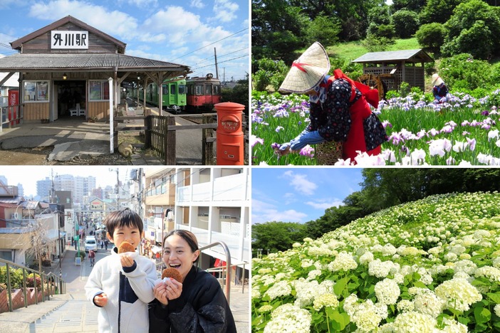 2026年6月のおすすめ観光地・穴場18選　関東で日帰り！あじさい・花菖蒲の絶景＆旬の絶品グルメを満喫