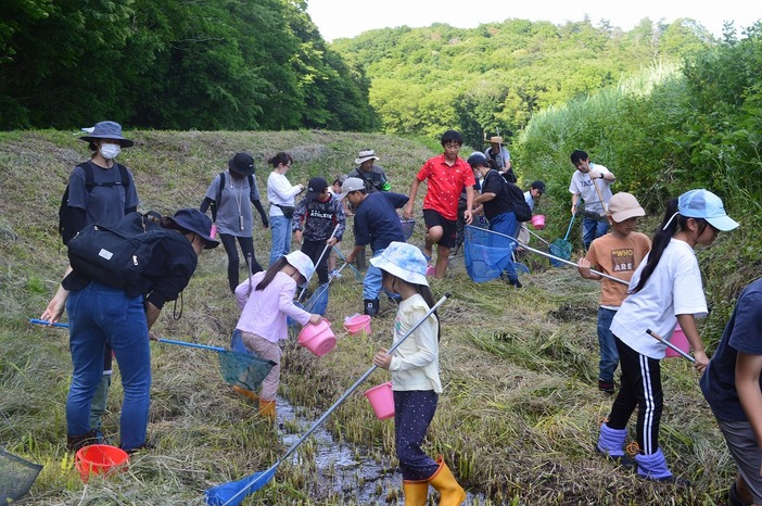 猿久保田んぼ公園　ホタルの観察会（2026年）