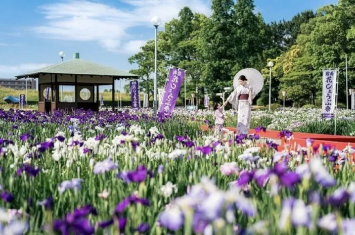 【2026東海】いよいよ見頃！初夏の絶景「花菖蒲の名所＆穴場」9選　幻の品種ほか見どころ・イベントも紹介