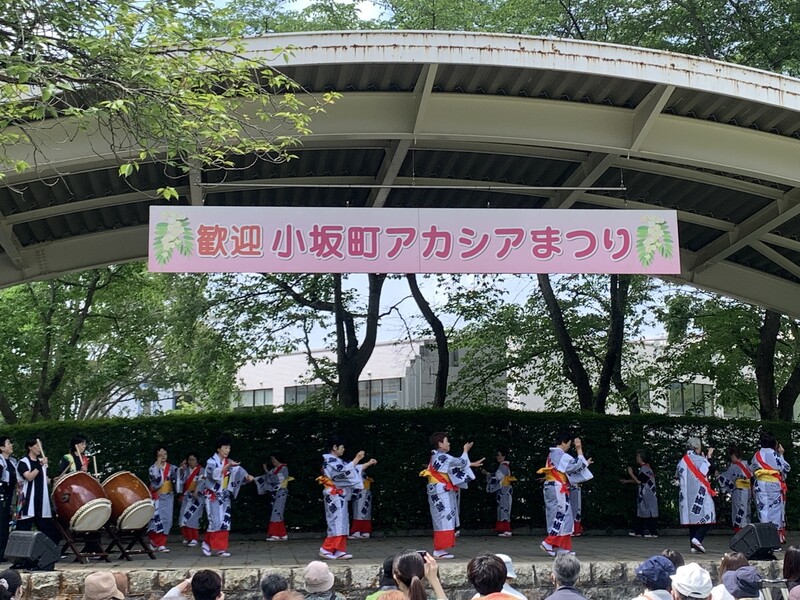 まち全体が甘い香りに包まれる！300万本のアカシアが咲く秋田「小坂町アカシアまつり」2026開催情報