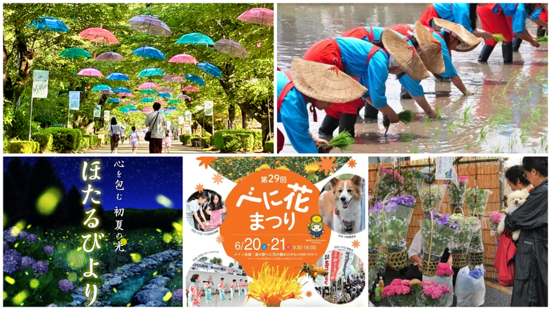 【関東】6月20日・21日の今週末に親子で楽しめる伝統行事＆イベント16選！篭あじさいから夏至の田植祭まで