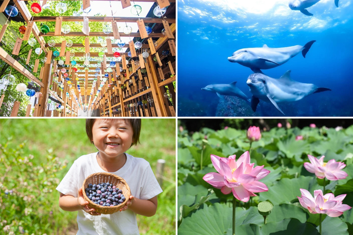 2026年7月のおすすめ観光地・穴場17選　関東で日帰り旅！天空の花畑＆天然かき氷の名所も！