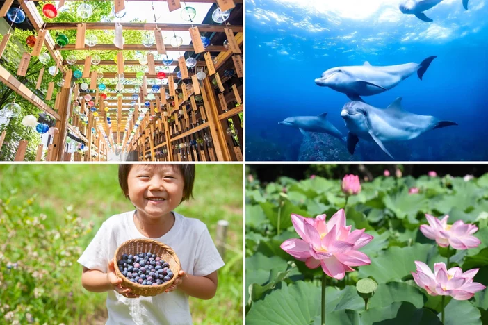 2026年7月のおすすめ観光地・穴場17選 関東で日帰り旅!天空の花畑&天然かき氷の名所も!