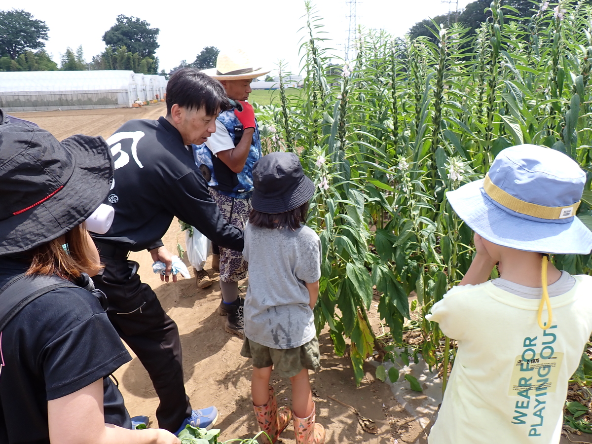 農業遺産農業塾（2026年8月開催）