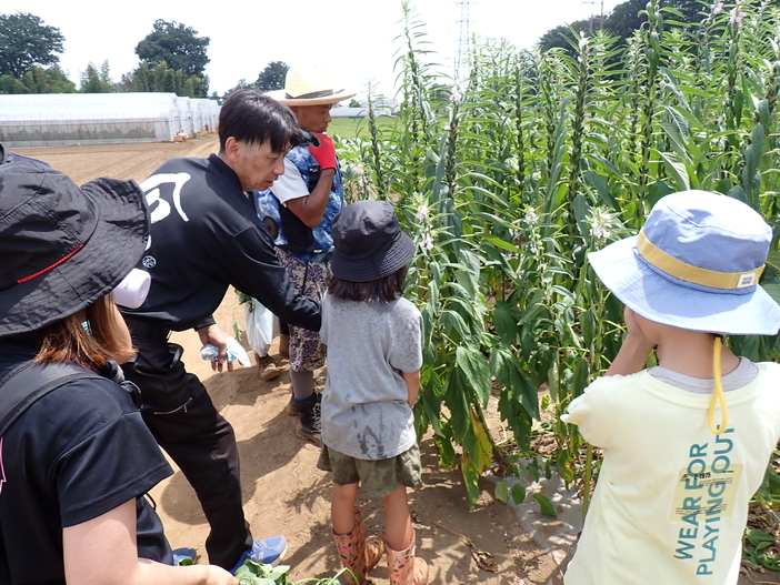農業遺産農業塾（2026年8月開催）