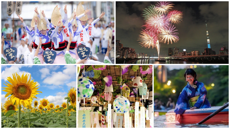 【2026東京】7月の注目イベント13選！隅田川花火・神楽坂まつり・10万本のひまわりなど親子で夏を満喫