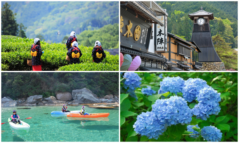【2026関西】7月のおすすめ観光地＆穴場16選　日帰り旅にも！透明な海・青いあじさい・茶畑の絶景