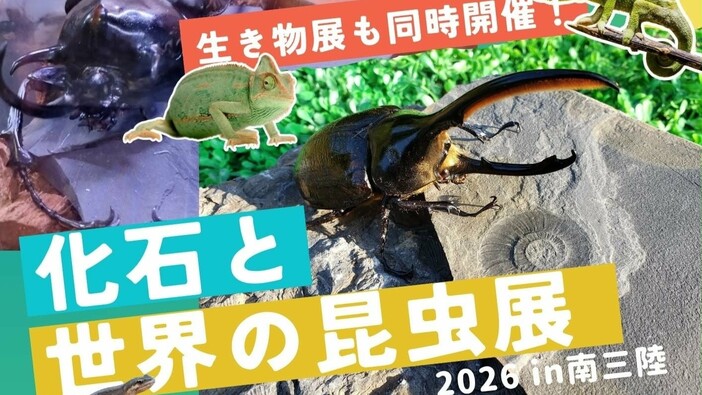化石と世界の昆虫展2026 in 南三陸