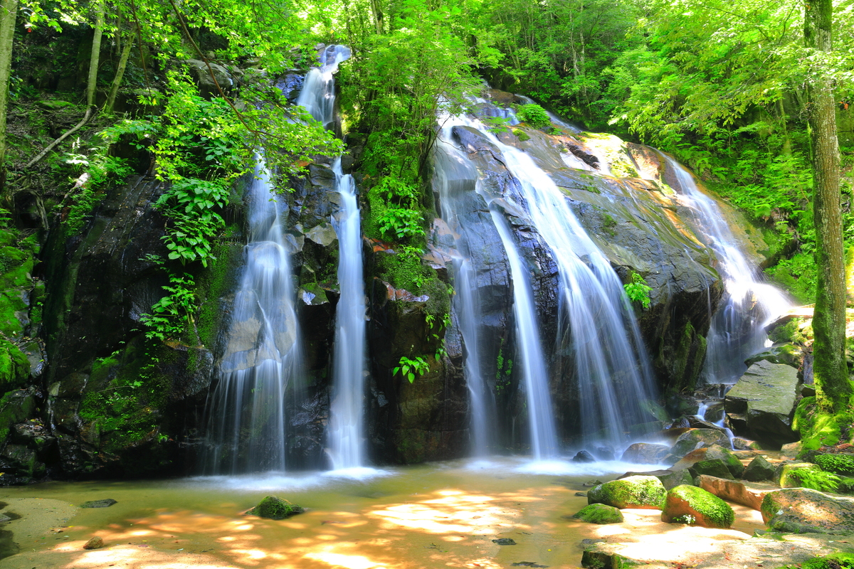 large_pixta_104258408_M.jpg