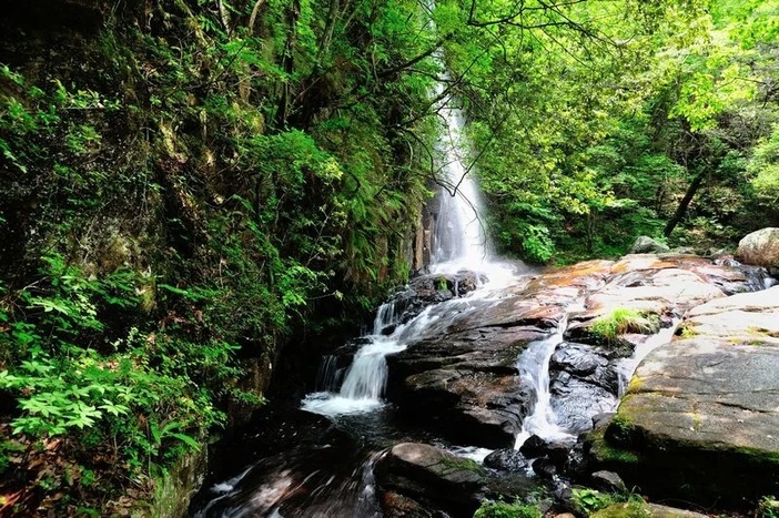 【2026】緑の木陰が涼しくて最高！「愛知の森林浴スポット」12選　川遊びスポットや渓谷で夏の思い出作り