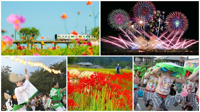 【関東】2026年9月注目イベント！秋祭りや迫力の大花火・コスモス畑・彼岸花を厳選紹介