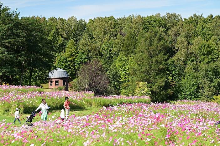 国営滝野すずらん丘陵公園で秋の色さがし「たきのオータムカラーズ2026」9月12日開幕