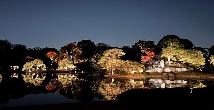 紅葉×ライトアップ×プロジェクションマッピング！六義園の夜間特別観賞2026　小学生以下無料