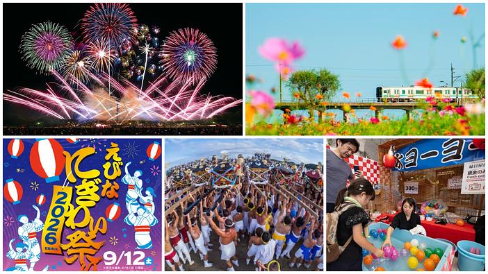 【関東】2026年9月12日・13日の週末イベント11選！調布花火や赤坂氷川祭・コスモスまつりも