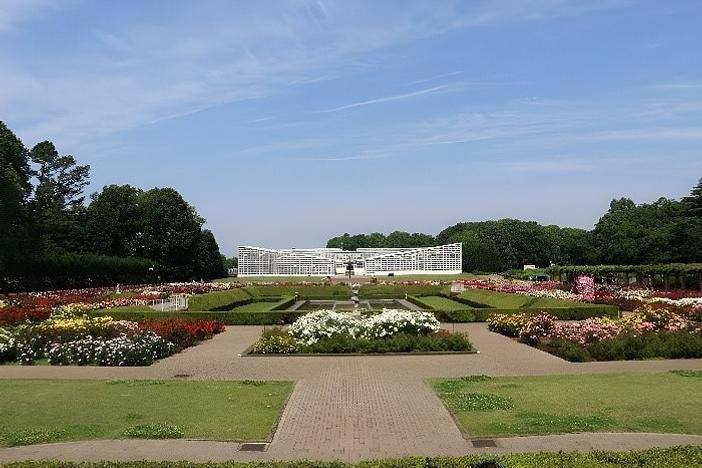 都民の日は入園無料！秋バラ咲く神代植物公園でカフェ＆ブックマルシェ開催