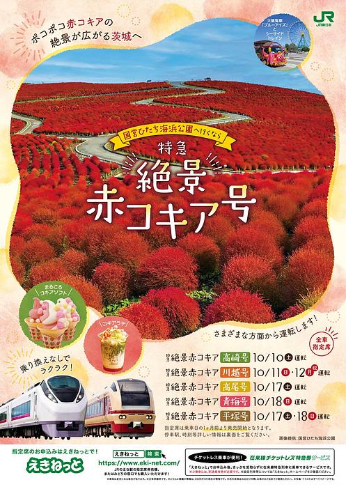 深紅のコキアに感動！特急直通列車で行くひたち海浜公園　乗り換えなしで秋の絶景へ