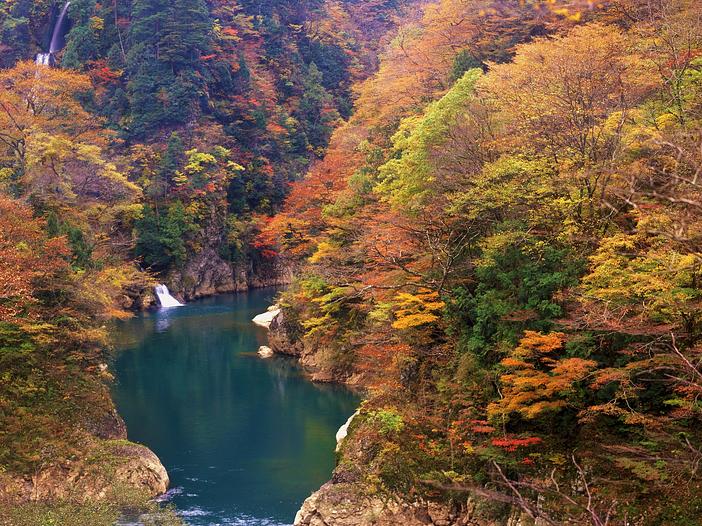 抱返り紅葉祭（2026年）
