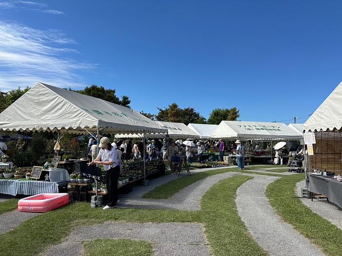 第145回宝塚植木まつり（第65回兵庫県・宝塚観賞植物品評会 同時開催）（2026年）