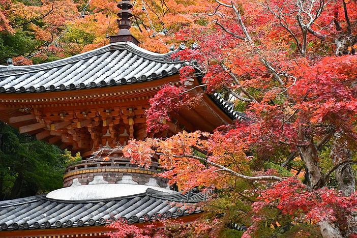 牛滝山もみじまつり（2026年）