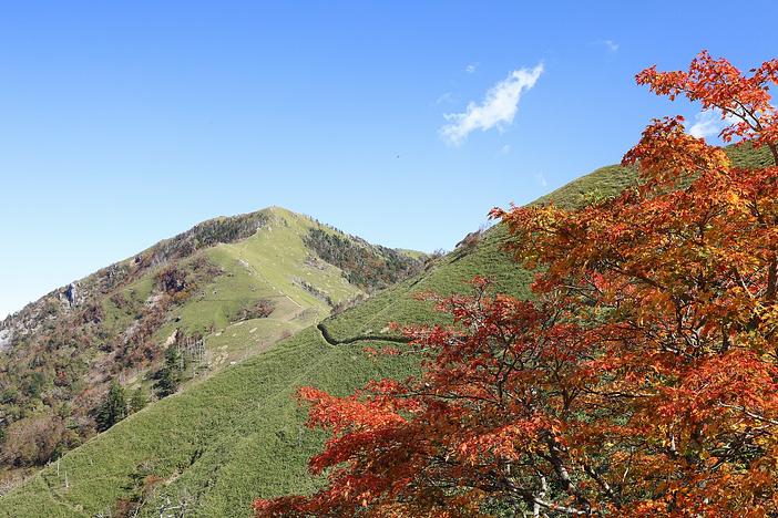 剣山もみじまつり（2026年）