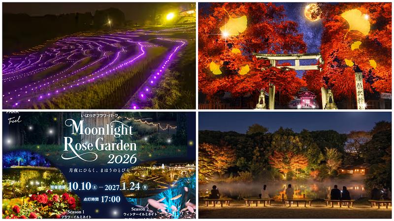 【関東】2026年10月24日・25日の週末に行きたい夜間開園＆ライトアップ12選！紅葉の庭園や秋バラも