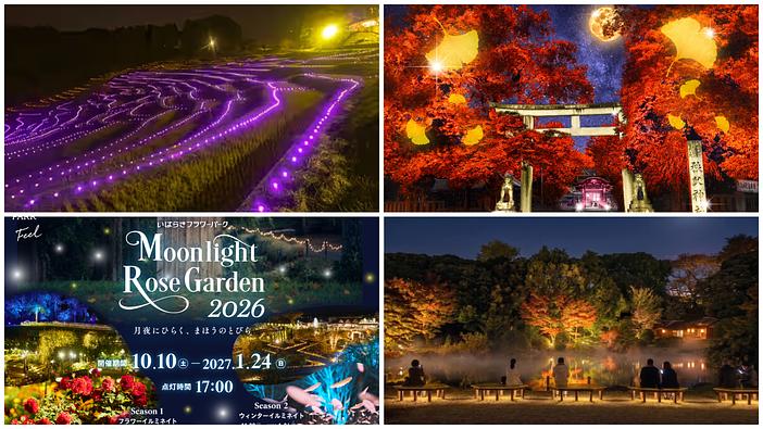 【関東】2026年10月24日・25日の週末に行きたい夜間開園＆ライトアップ12選！紅葉の庭園や秋バラも