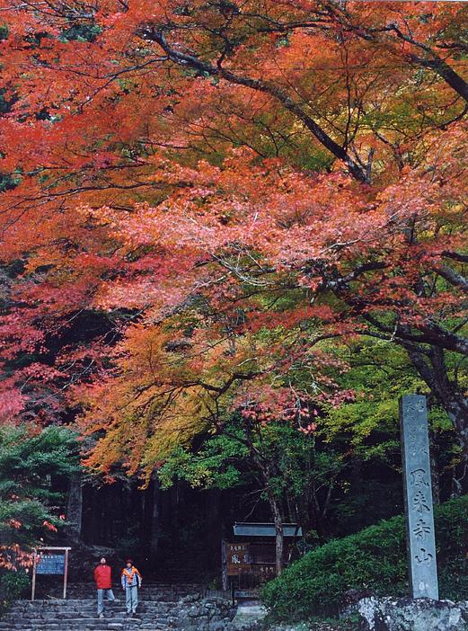 令和8年 鳳来寺山もみじまつり（2026年）