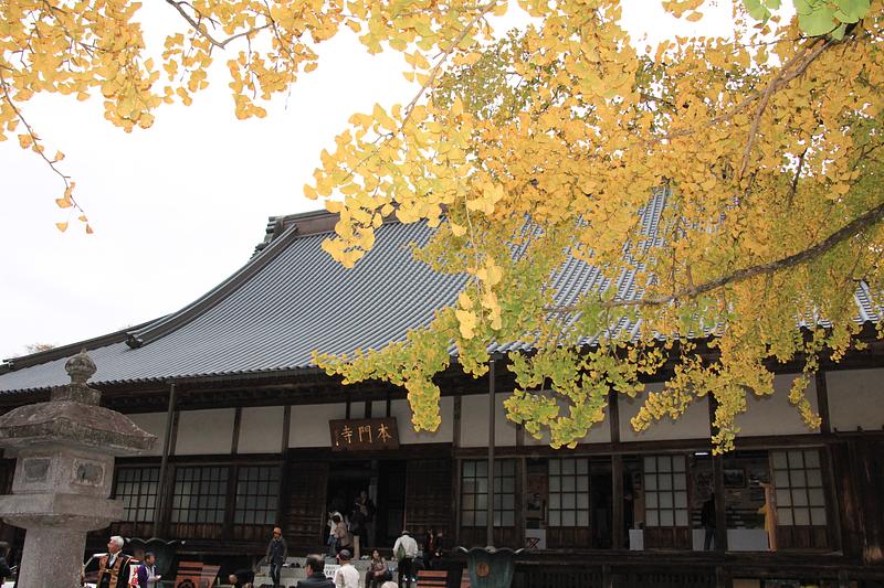 静岡・富士宮の秋祭り！信長公黄葉まつりの見どころ＆2026年開催情報
