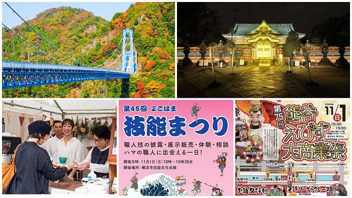【関東】2026年10月31日・11月1日の週末イベント13選！菊まつりや益子の陶器市・夜の上野東照宮も
