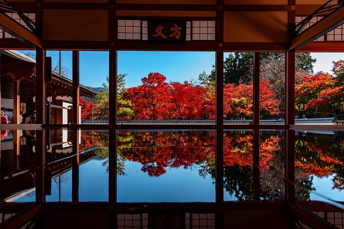 宝徳寺　秋の床もみじ特別公開（2026年）