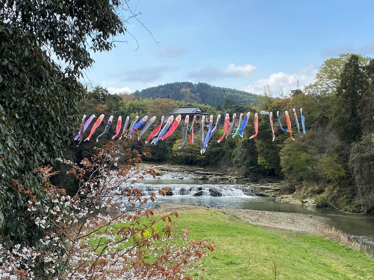 黒原不動滝 | 青空を泳ぐ鯉のぼりの絶景！ 「いすみ鉄道」沿線の隠れた