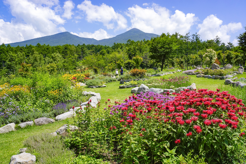 富士見高原リゾート | 東京から約2時間で大自然を満喫！ 気軽に
