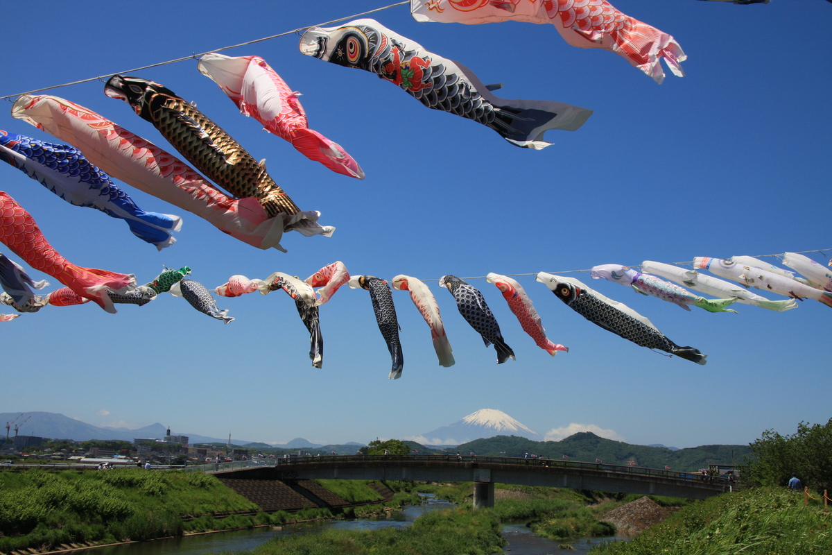 鯉のぼり乗車券