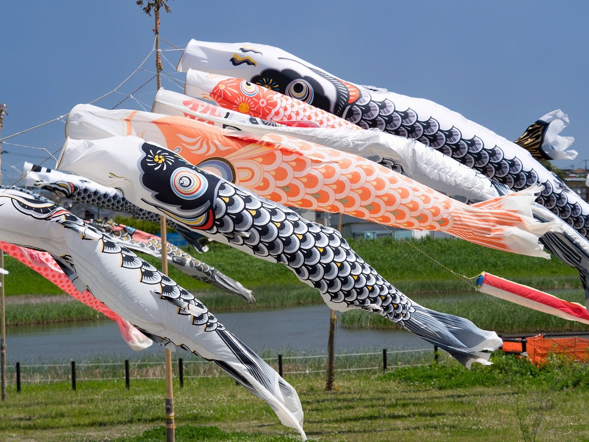 2025】東京近郊でGWに開催 こいのぼりイベントおすすめ10選 | いこーよ