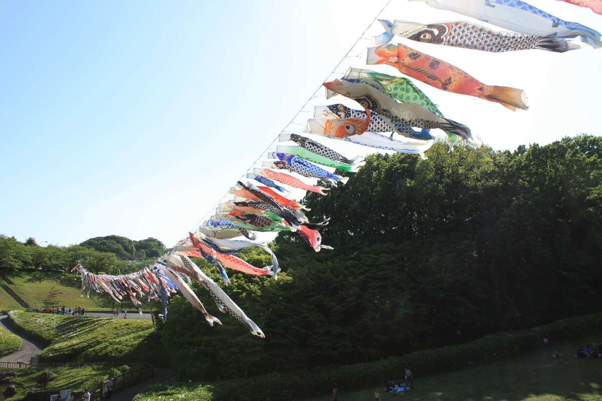 第36回森の里鯉のぼりまつり | 池の上を泳ぐ200匹のこいのぼり 大判