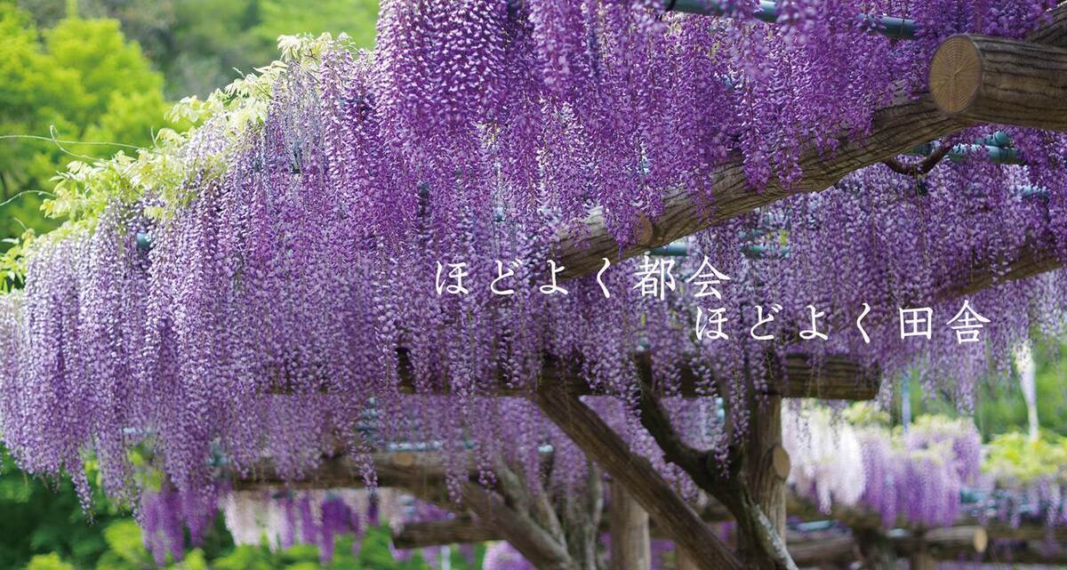 静岡県藤枝市の子連れで楽しめる観光情報一覧|いこーよとりっぷ