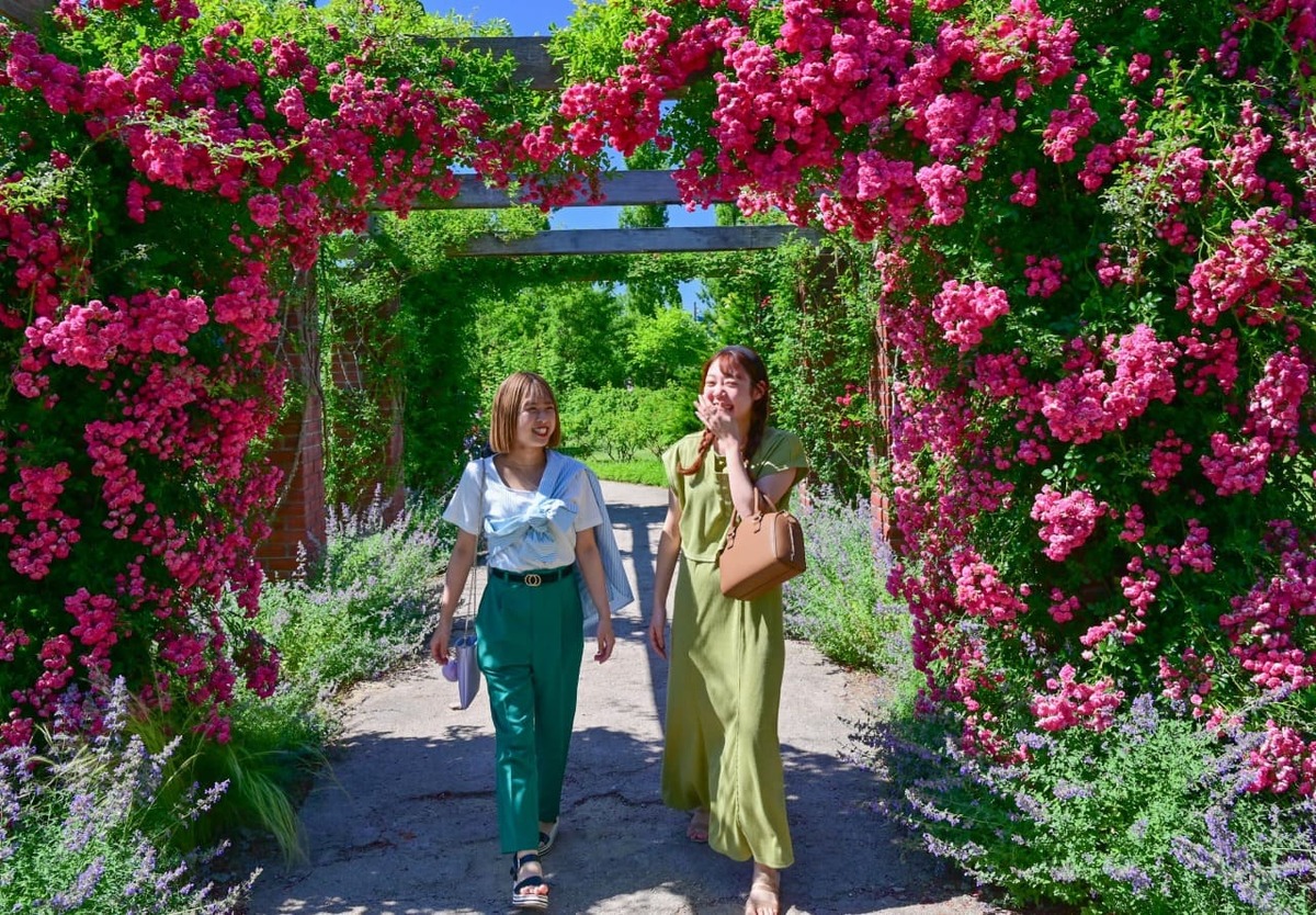 みつけイングリッシュガーデン | 季節ごとの花や植物に癒される 本格的