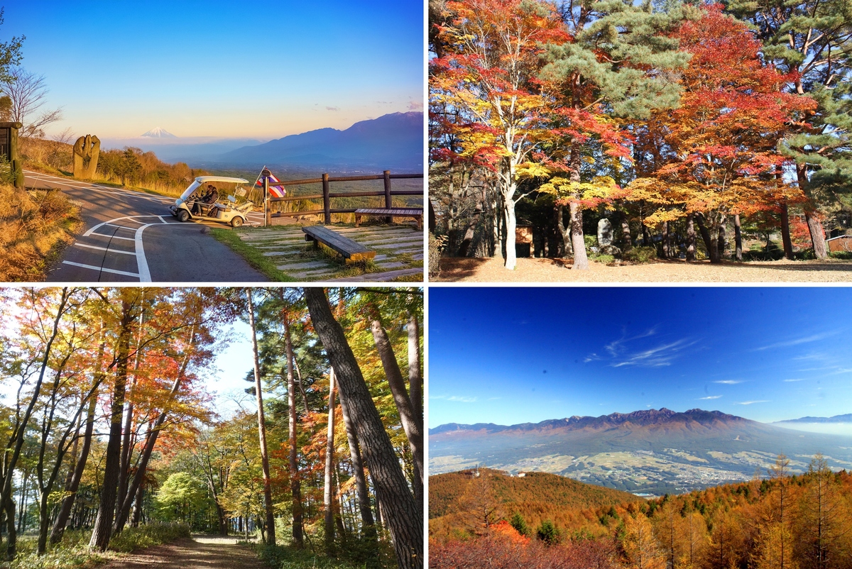 富士見町の紅葉の名所 | 長野県富士見町からのお知らせ | いこーよとりっぷ