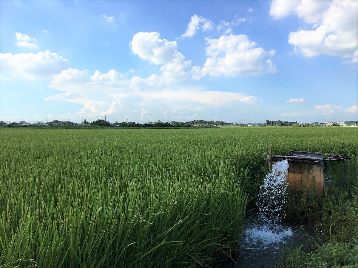 埼玉県川島町 名所とグルメ! ほっこりくつろぎのマチ いこーよとりっぷ