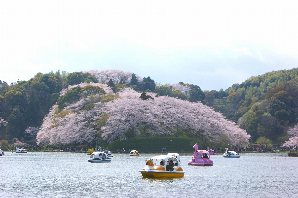 蓮華寺池公園 | 四季折々の自然が満喫できる公園 子連れに嬉しい施設も
