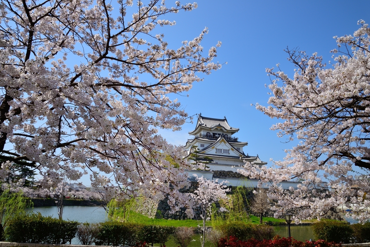 大阪】桜お花見おすすめ・穴場スポット10選！2025 | いこーよとりっぷ