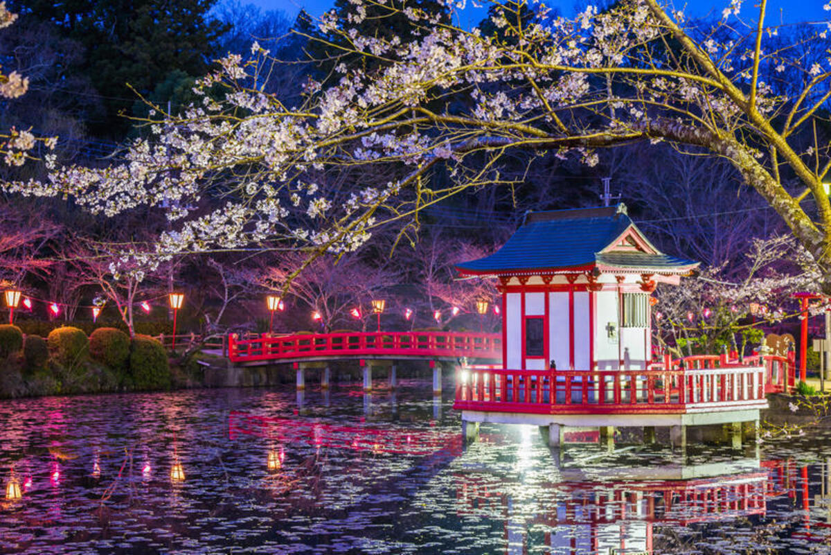 千葉県外房】桜お花見おすすめ・穴場スポット7選！2025 | いこー